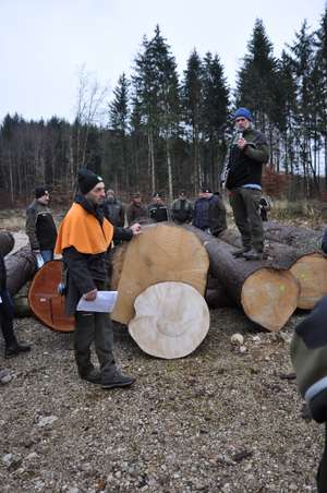 Stammanalyse Vor Ort