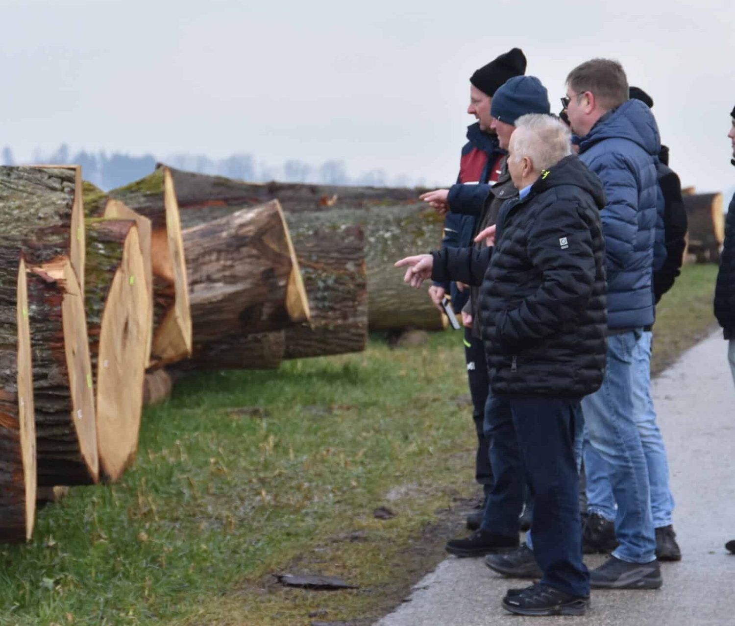 Es ist nicht nur Holz, sondern es sind die teuersten Baumstämme Oberösterreichs. Die gewaltigen Kapazunder sorgten für viel Gesprächsstoff am Submissionsplatz.