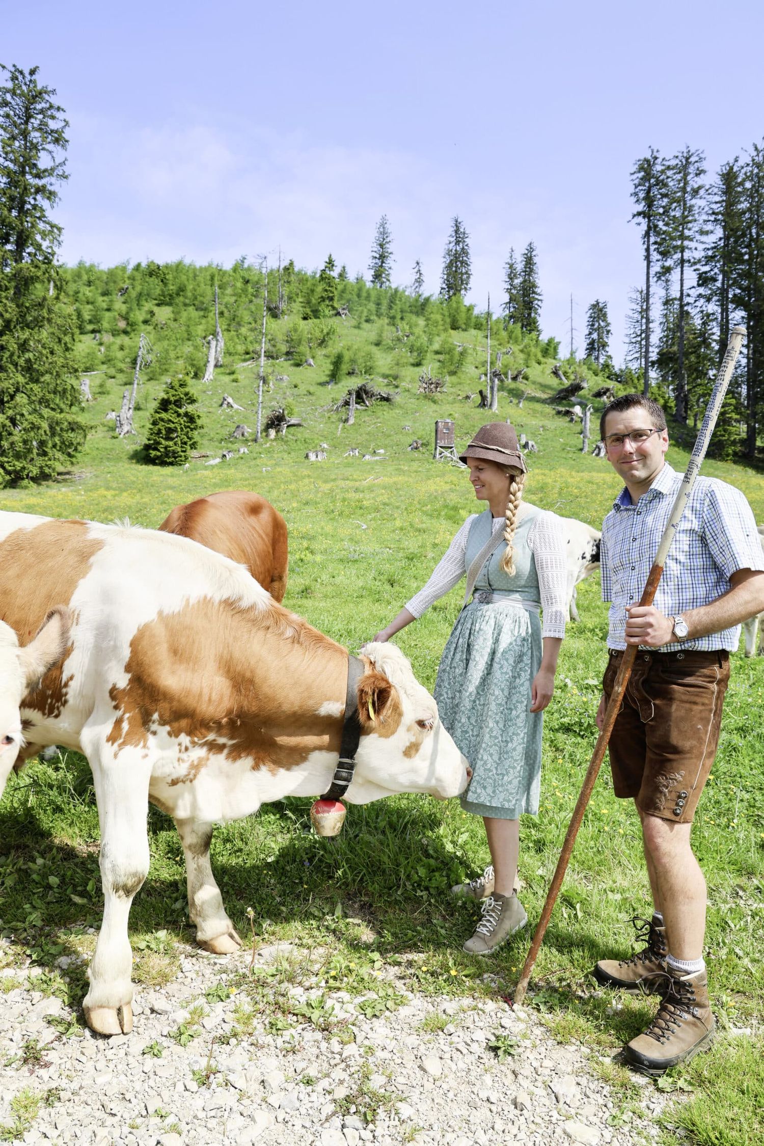 Almwandertag