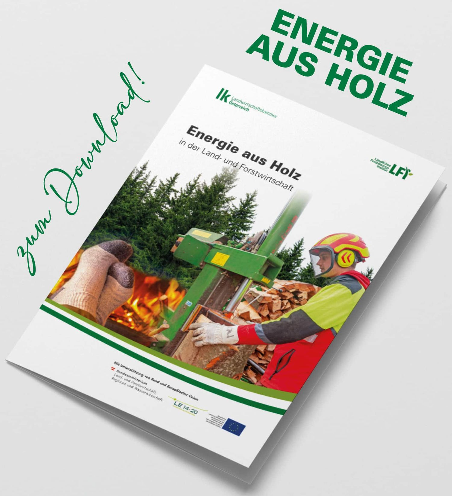 Energie Aus Holz Neu