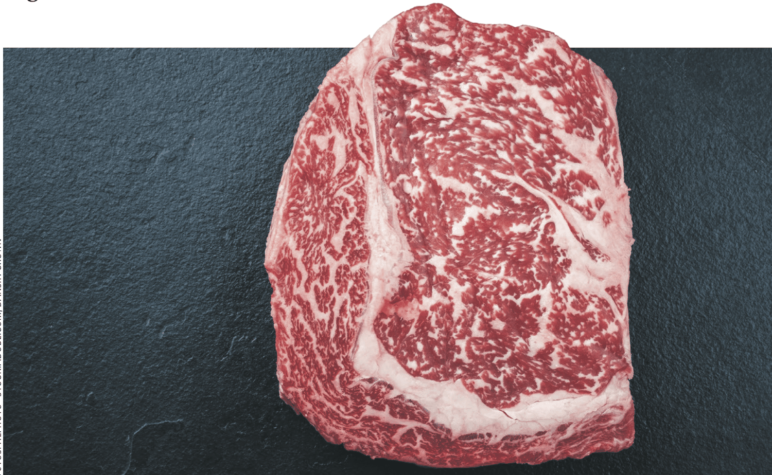 Fleisch