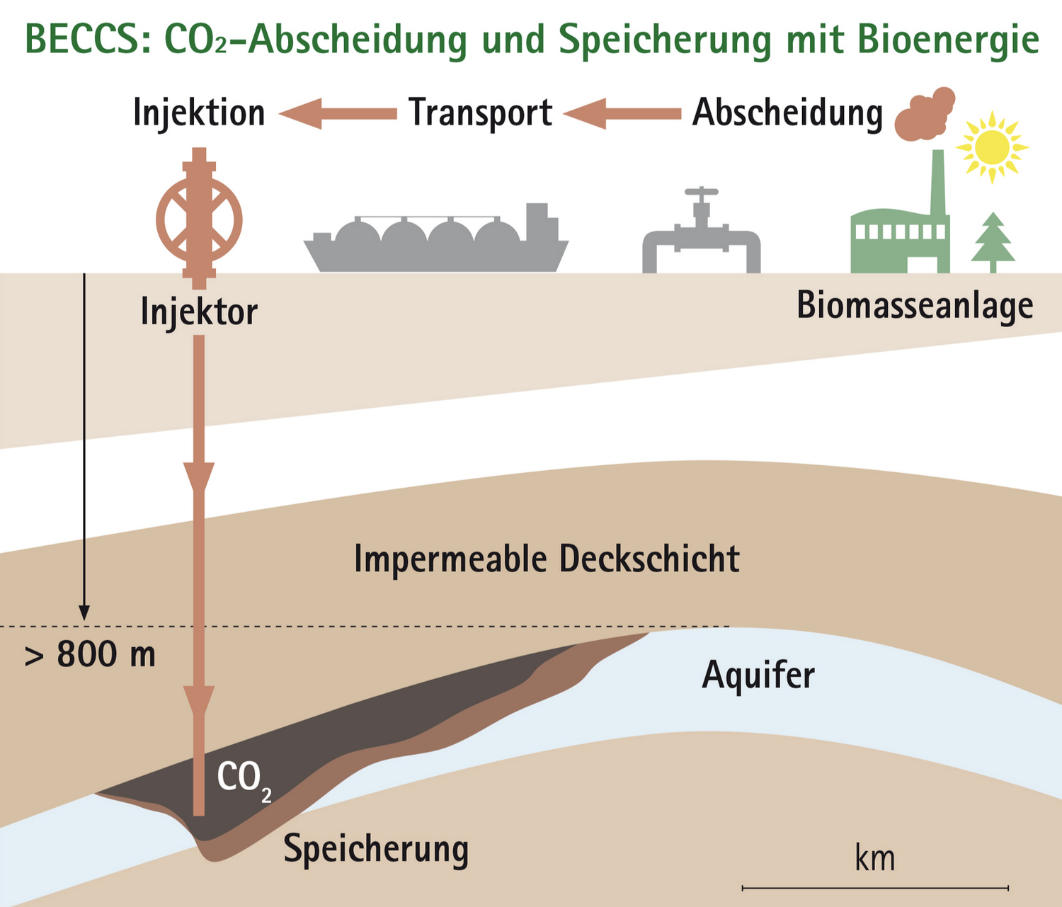 BECCS