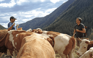 Christian Bachler und Florian Klenk