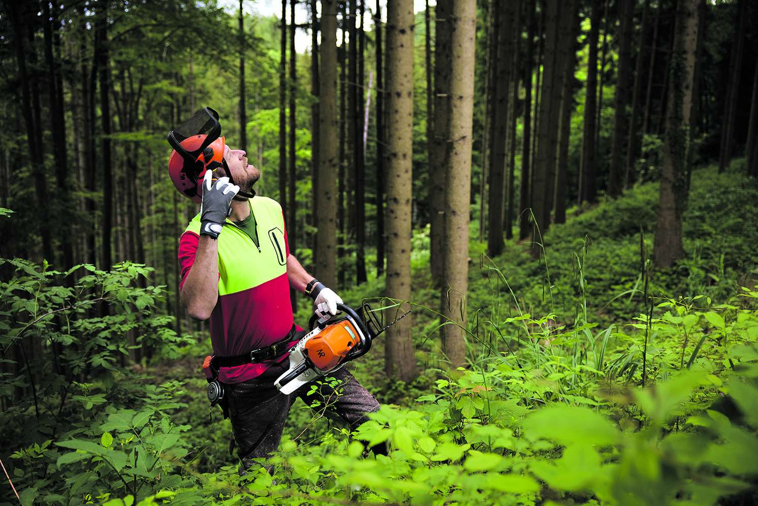 Forstarbeiter im Wald
