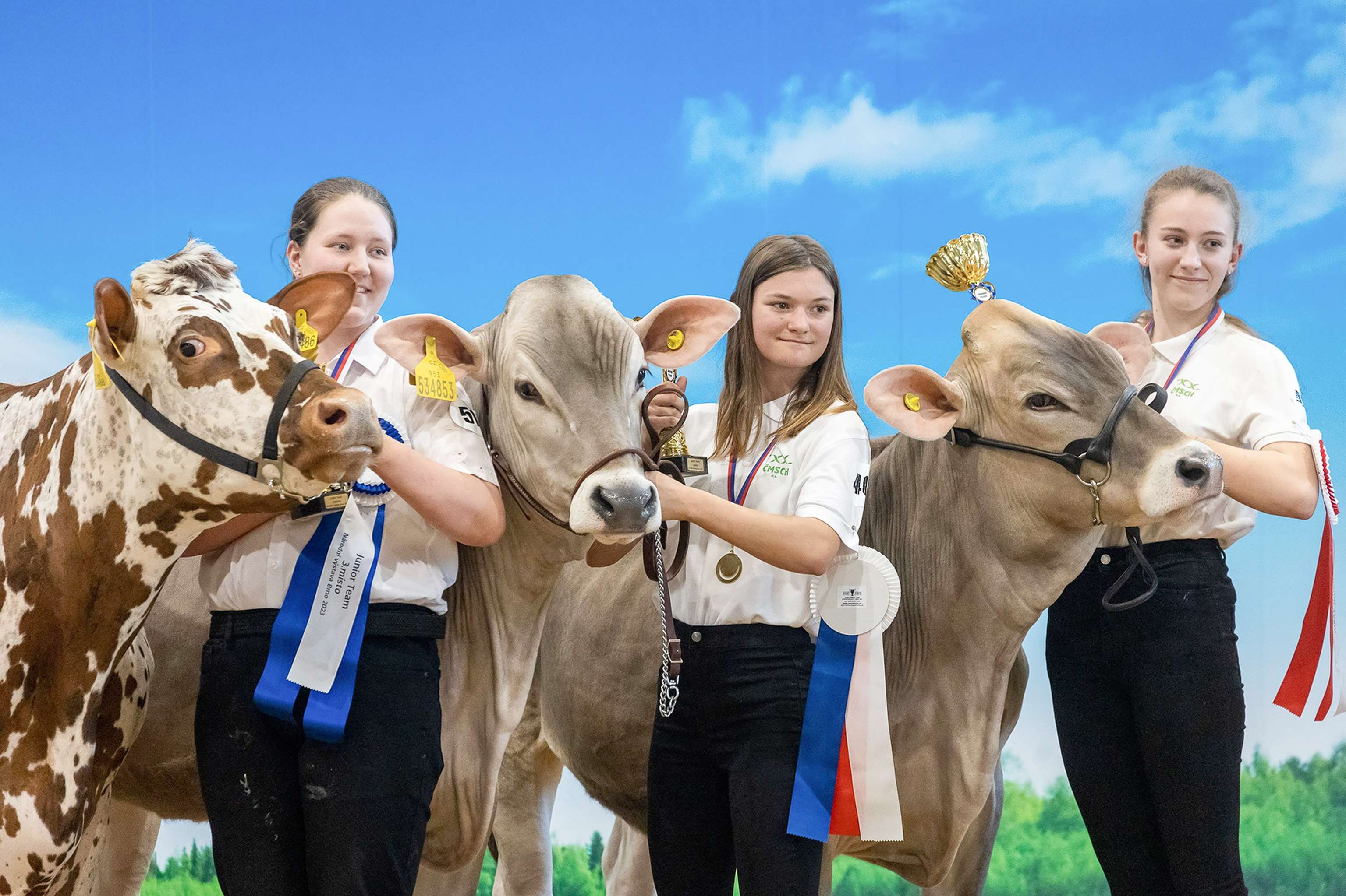 Preisverleihung auf der Messe Brünn