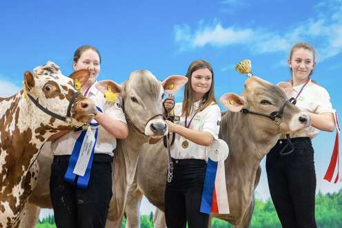 Preisverleihung auf der Messe Brünn