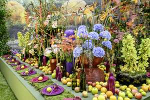 Farbenprächtiges Blumenarrangement mit Hortensien, Orchideen und Strelitzien, umgeben von Äpfeln, lila Tellern und Vasen auf einem dekorierten Tisch.