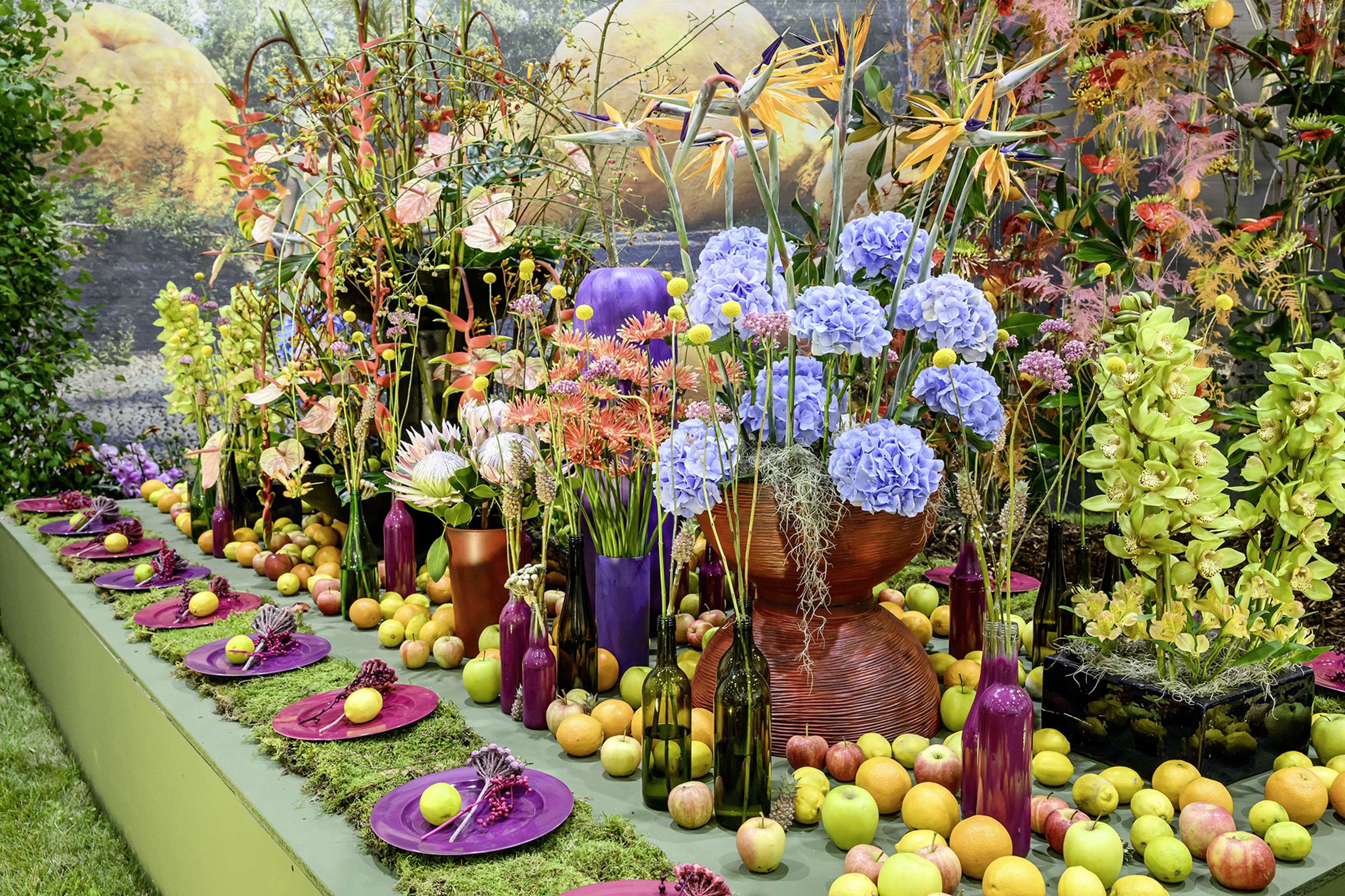 Farbenprächtiges Blumenarrangement mit Hortensien, Orchideen und Strelitzien, umgeben von Äpfeln, lila Tellern und Vasen auf einem dekorierten Tisch.