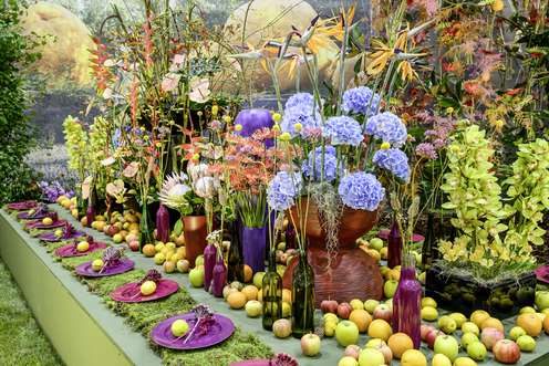 Farbenprächtiges Blumenarrangement mit Hortensien, Orchideen und Strelitzien, umgeben von Äpfeln, lila Tellern und Vasen auf einem dekorierten Tisch.