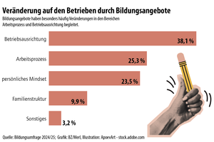 Infografik Bildungsangebote LFI