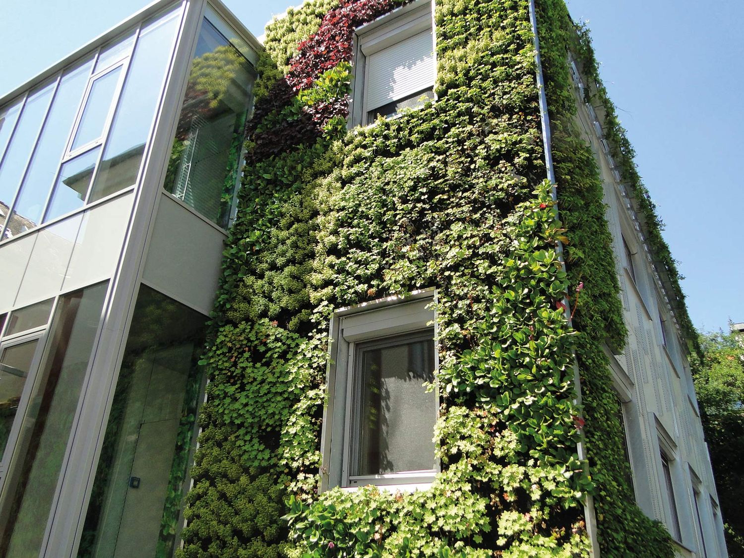 Unter dem Motto “Nachmachen erwünscht” zeigt der Ökosoziale Klimakompass bereits umgesetzt Projekte, wie etwa die Fassadenbegrünung am Rathaus Weiz.