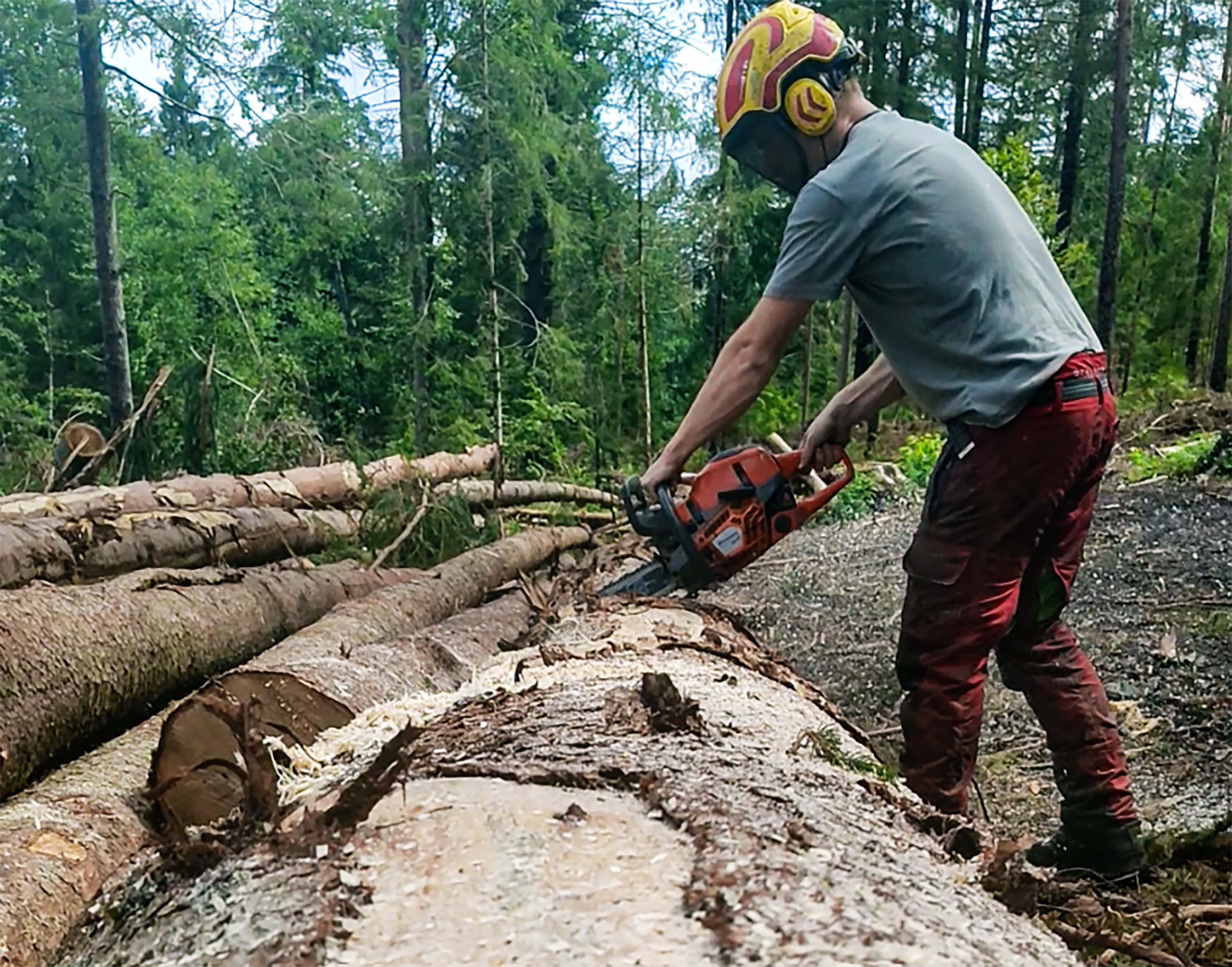 Husqvarna 564 XP im Test