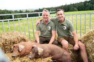 34-21BZ_MeinSchwein-PR.jpg