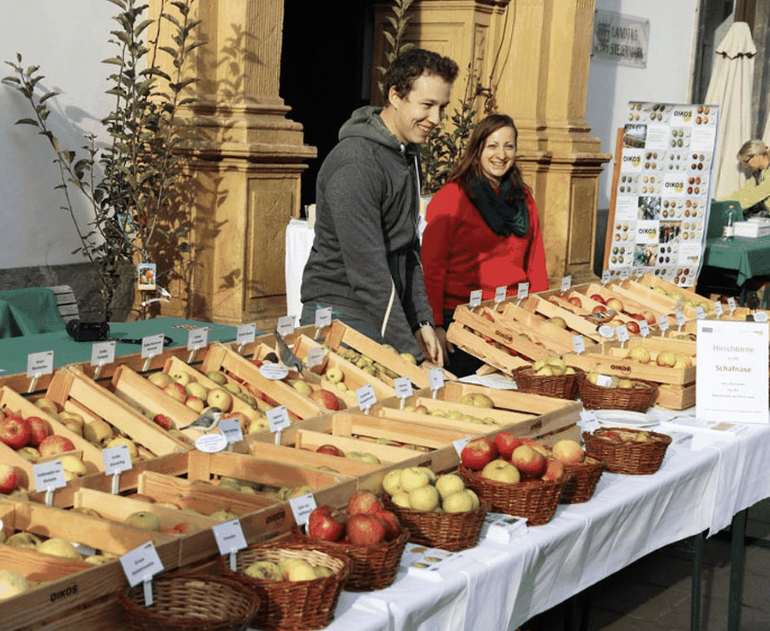 Mehr als 220 alte Obstsorten werden präsentiert. Foto: Wilfling / Oikos