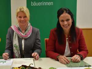 Neumann-Hartberger und Brunner