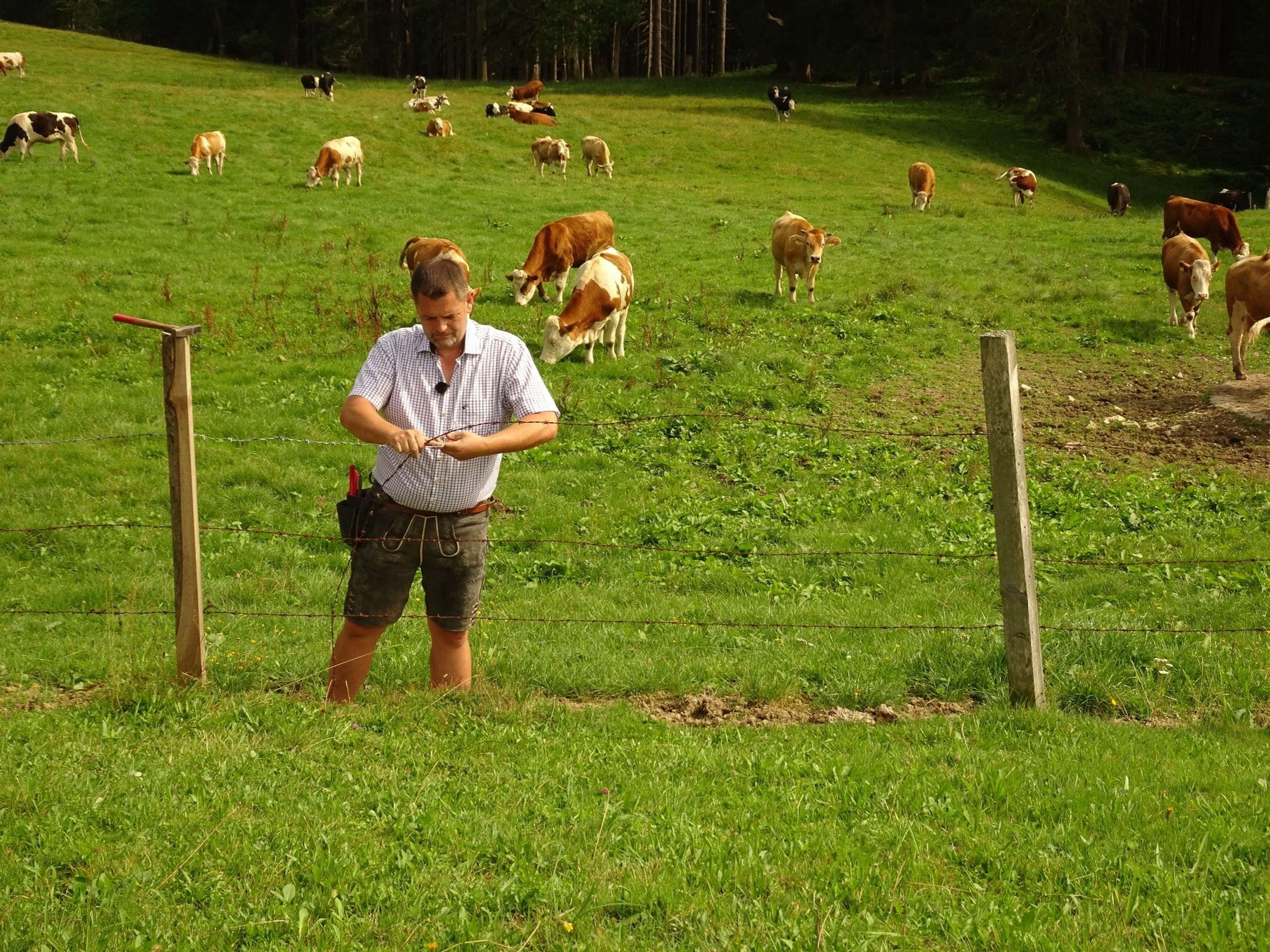 Reperaturarbeiten am Zaun