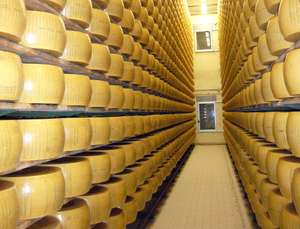 Cheese