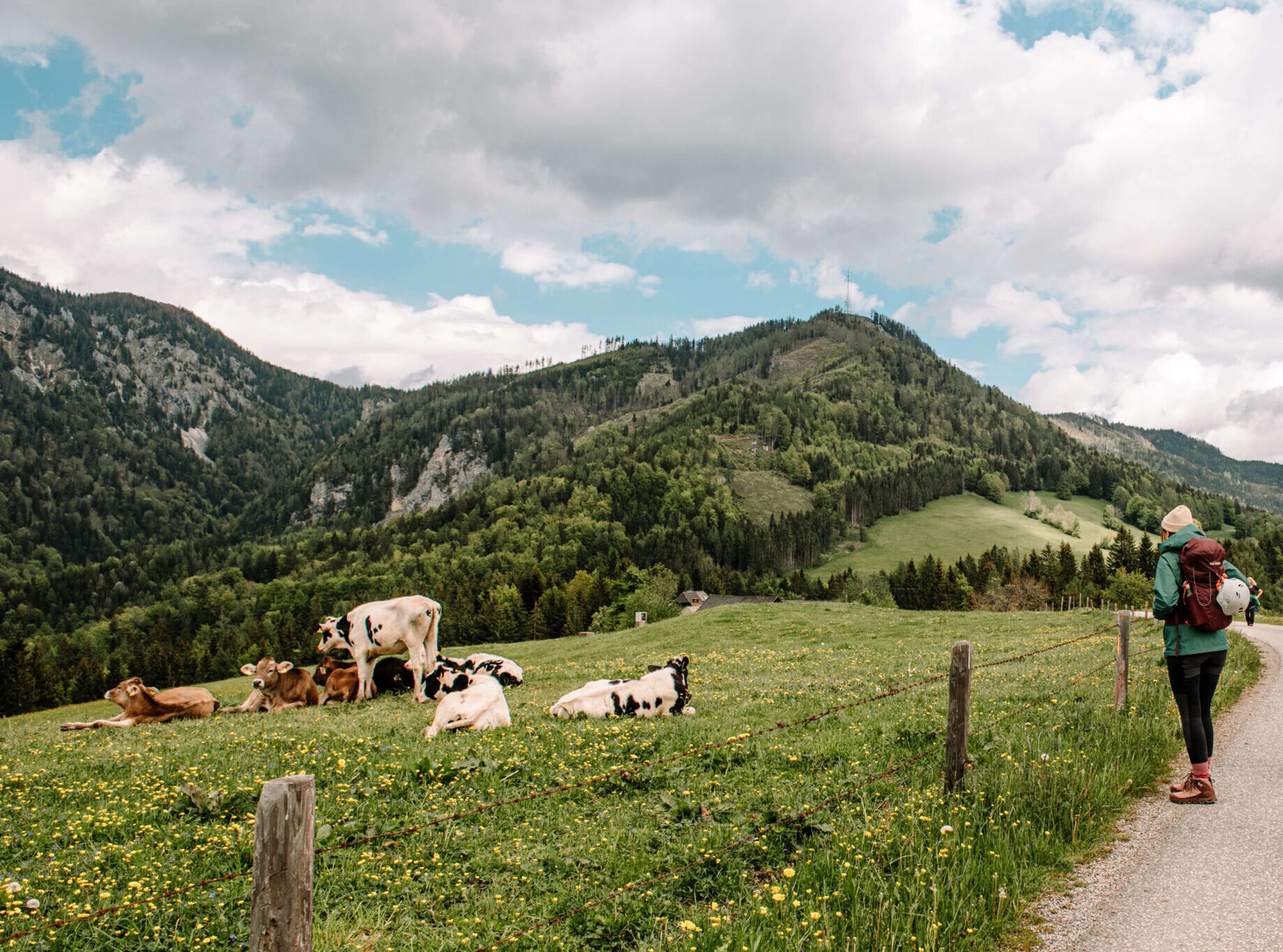 PyhrnPrielWandern OberoesterreichTourismusGmbHLeonoreHerzog