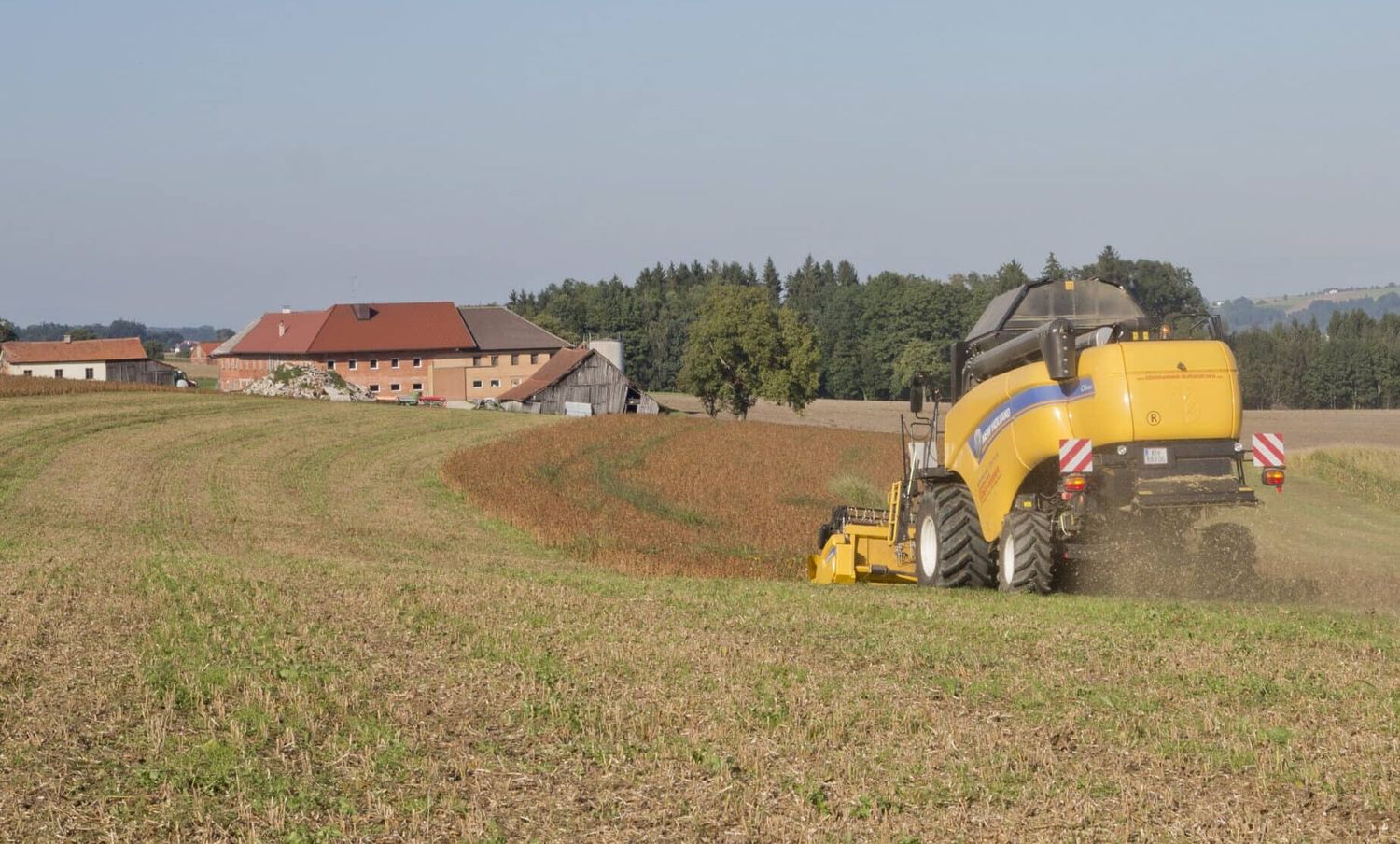 Sojadrusch