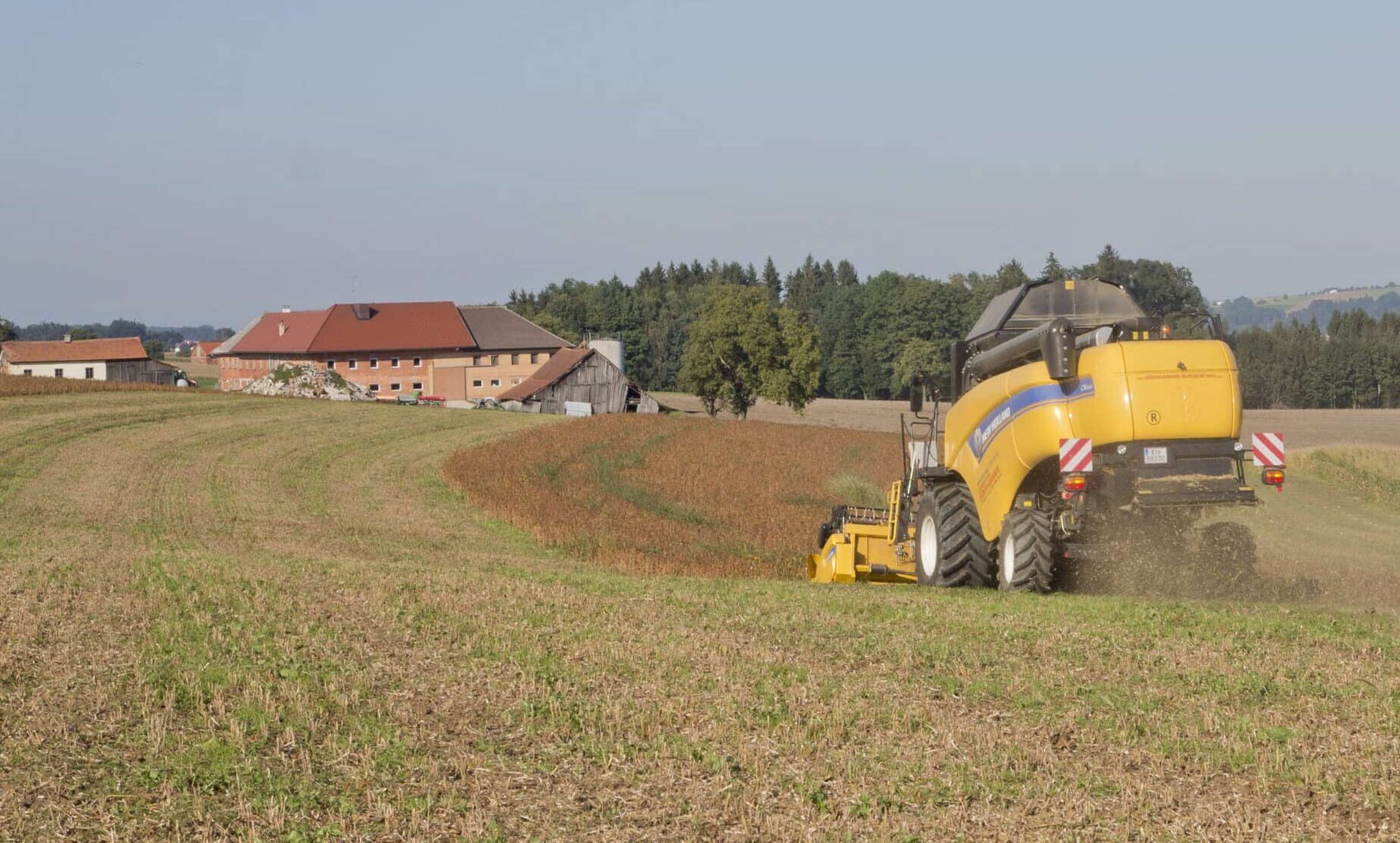 Sojadrusch