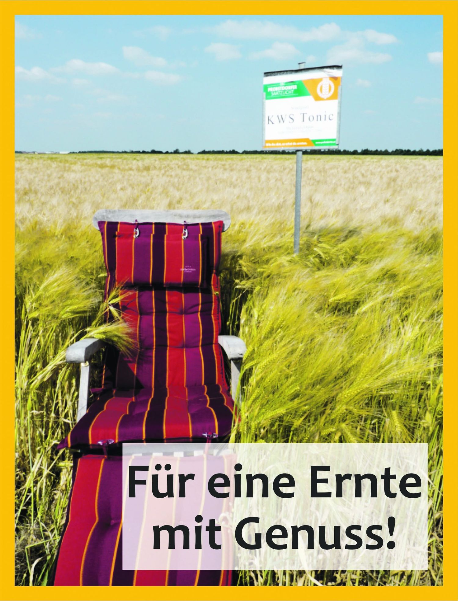 PR-Foto_wintergerste_BZNOe_09092021.jpg