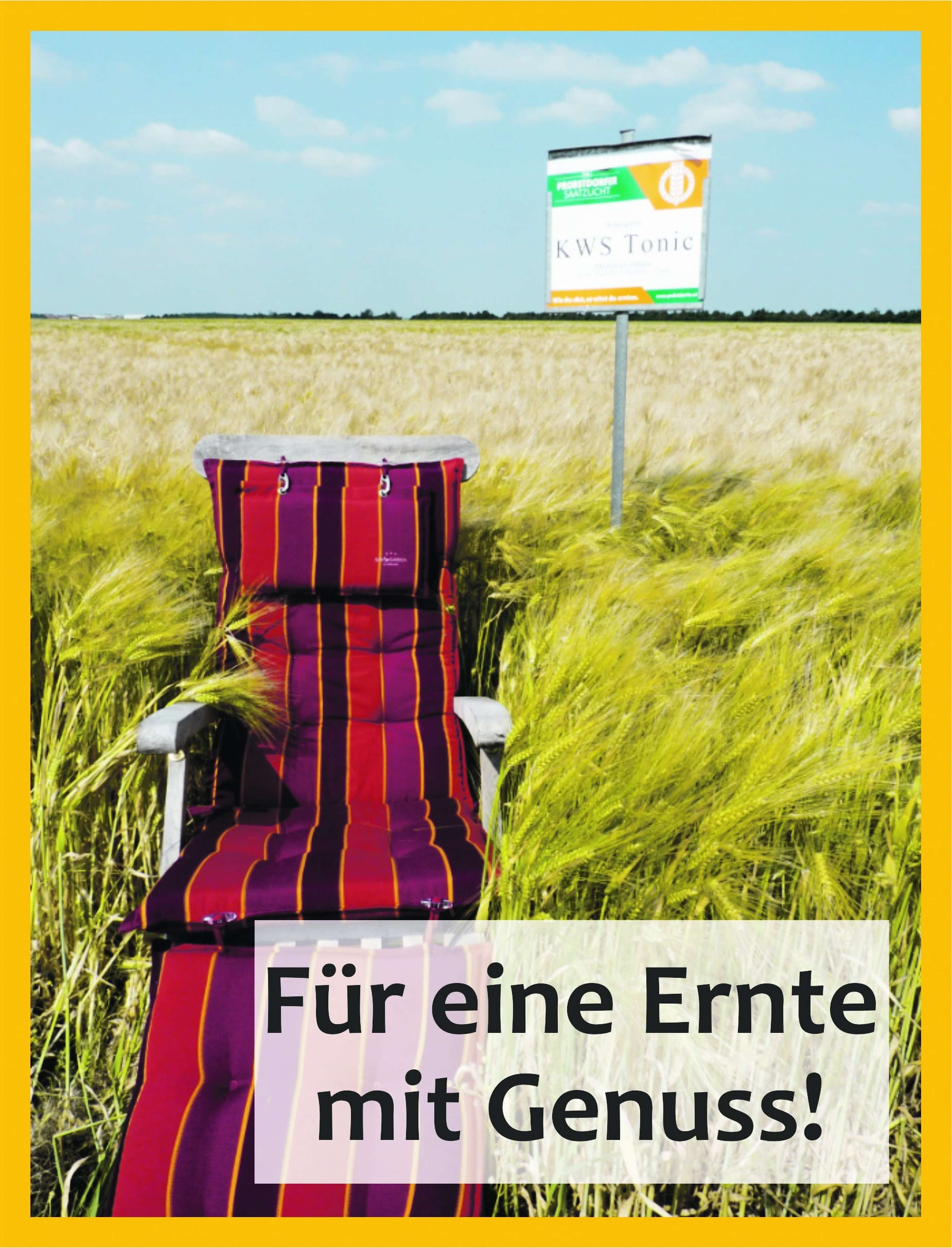 PR-Foto_wintergerste_BZNOe_09092021.jpg