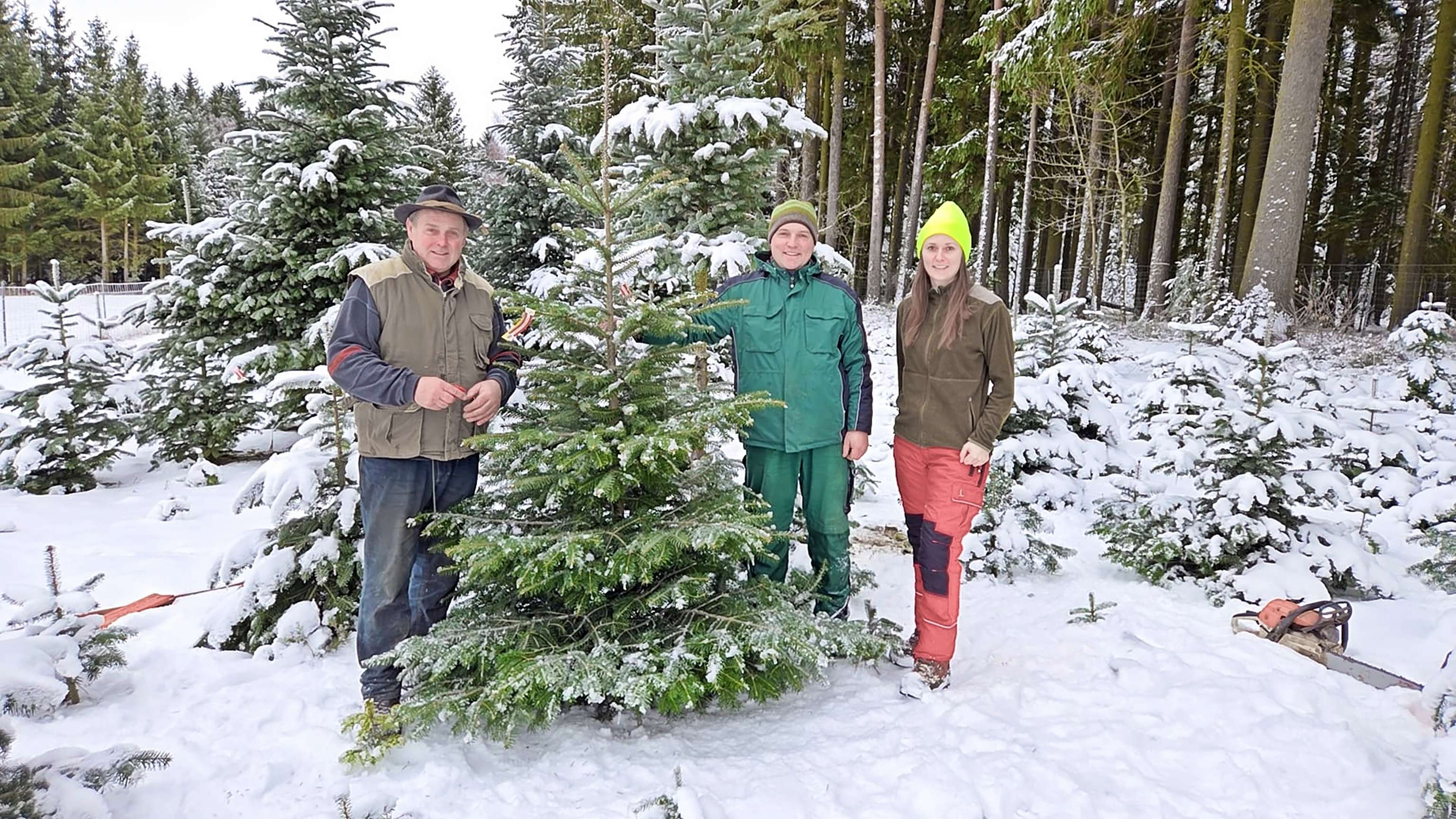 3 Personen im Wald mit einem Christbaum