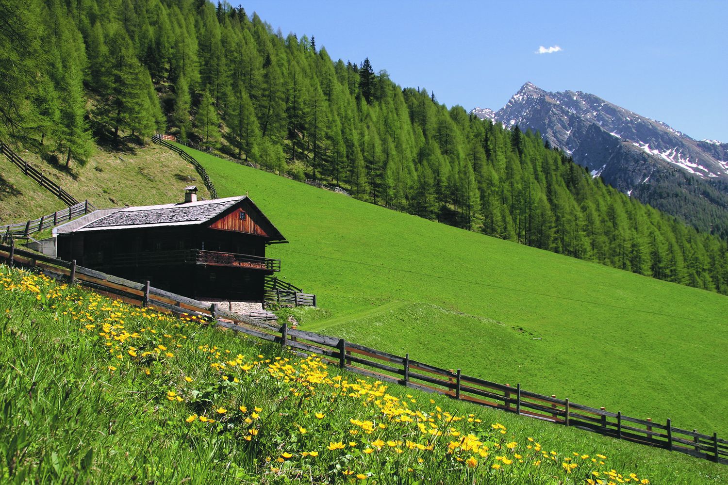 Finanzierungen des Landeskulturfonds gibt es künftig für alle Grundankäufe, die einem Siedlungstatbestand entsprechen (Symbolfoto).