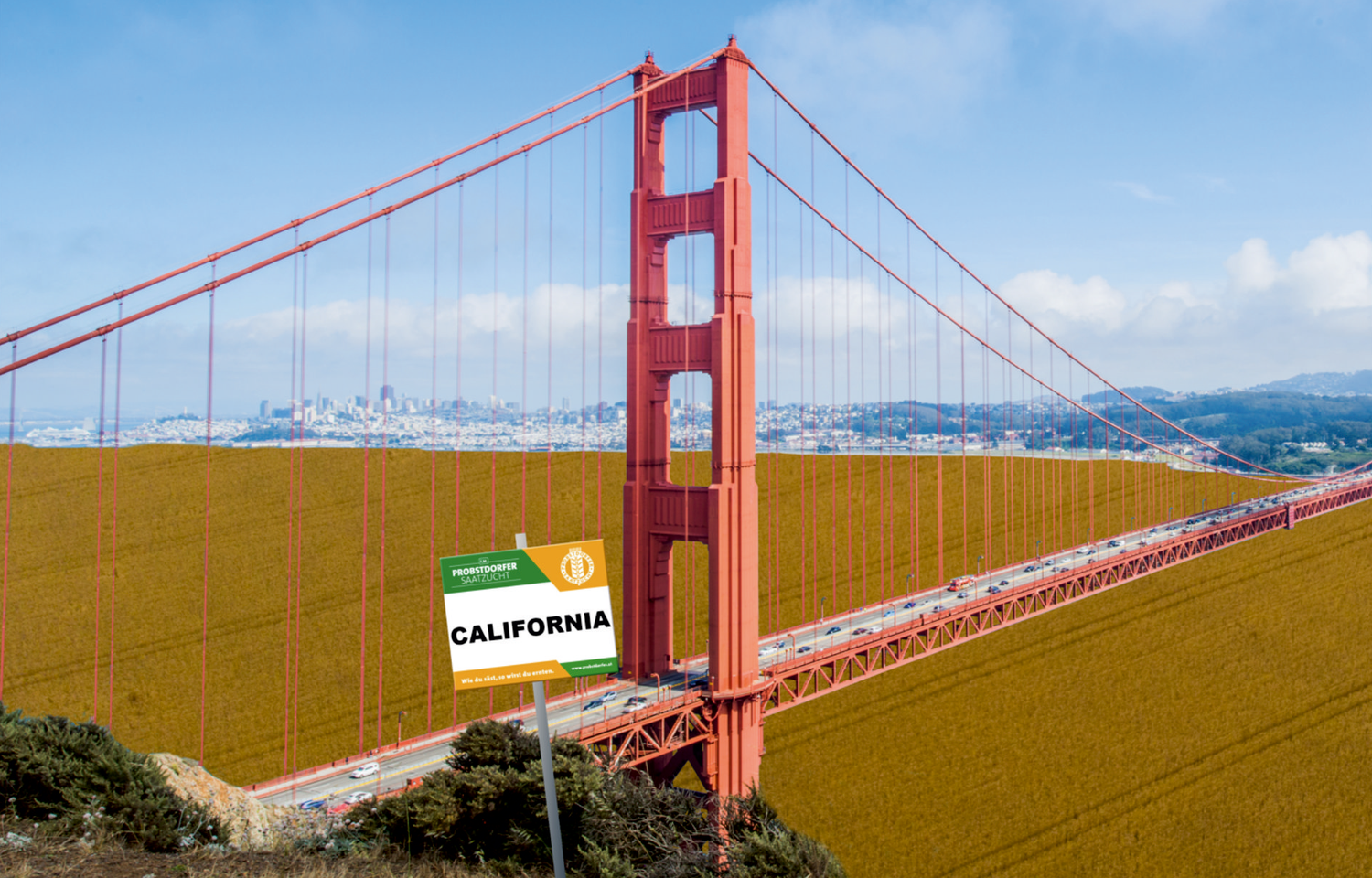 Der optische Eindruck von  California lässt viel erwarten.