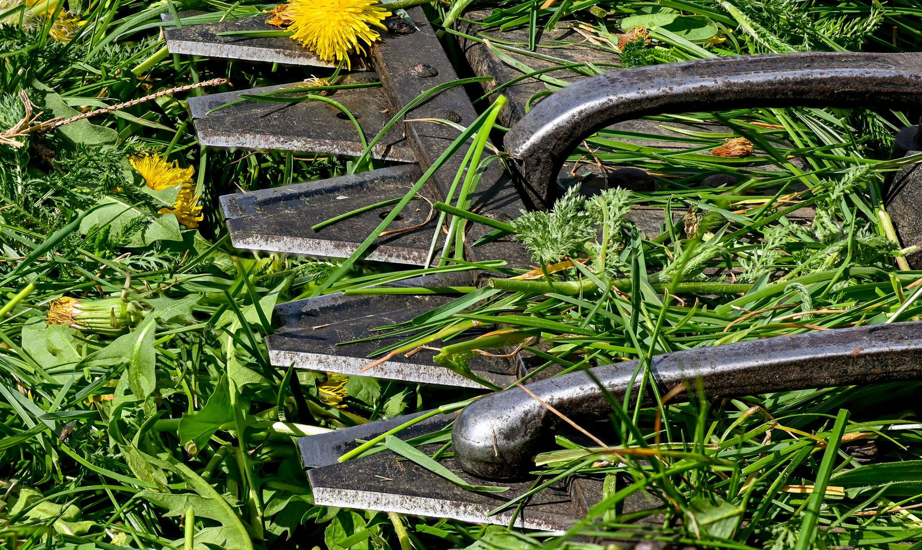 Doppelmesserbalken