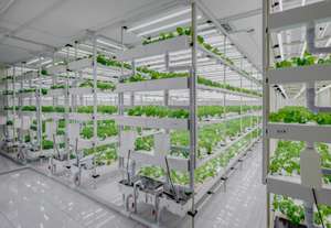 Vertical farm