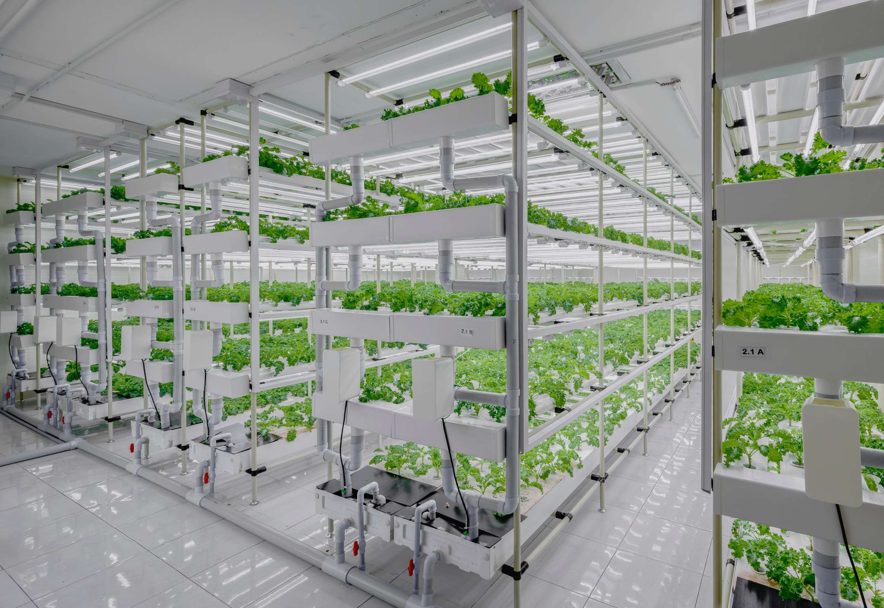 Vertical farm