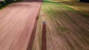 Feld