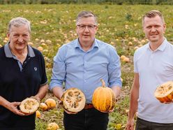 Obmann Franz Labugger (li), Präsident Andreas Steinegger und Jungbauer Michael Konrad am Kürbisacker.