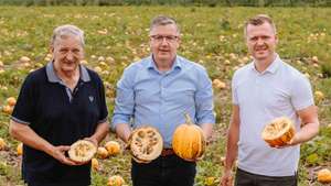Obmann Franz Labugger (li), Präsident Andreas Steinegger und Jungbauer Michael Konrad am Kürbisacker.