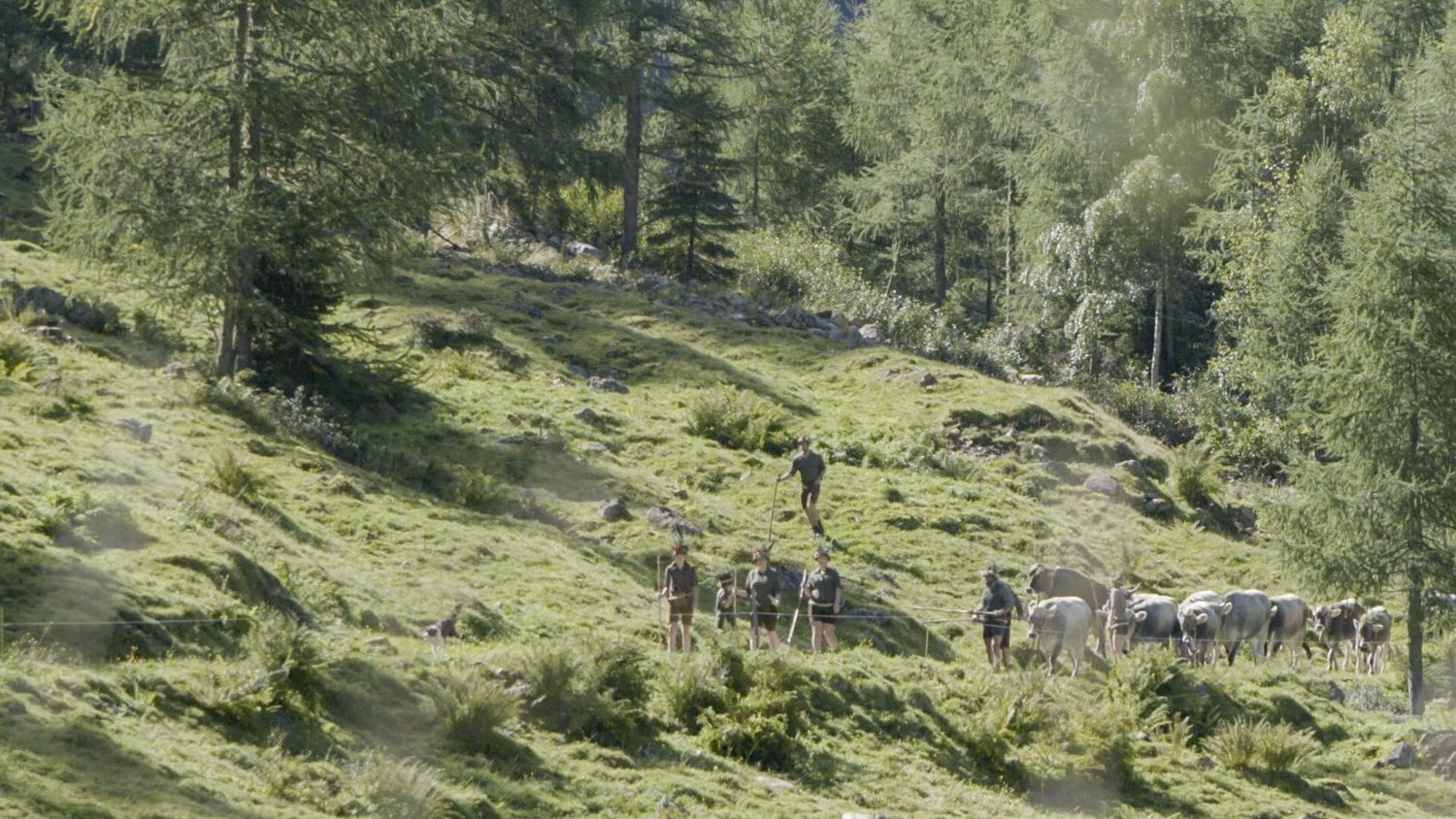 Land Der Äcker Die Bauern Und Die Politik