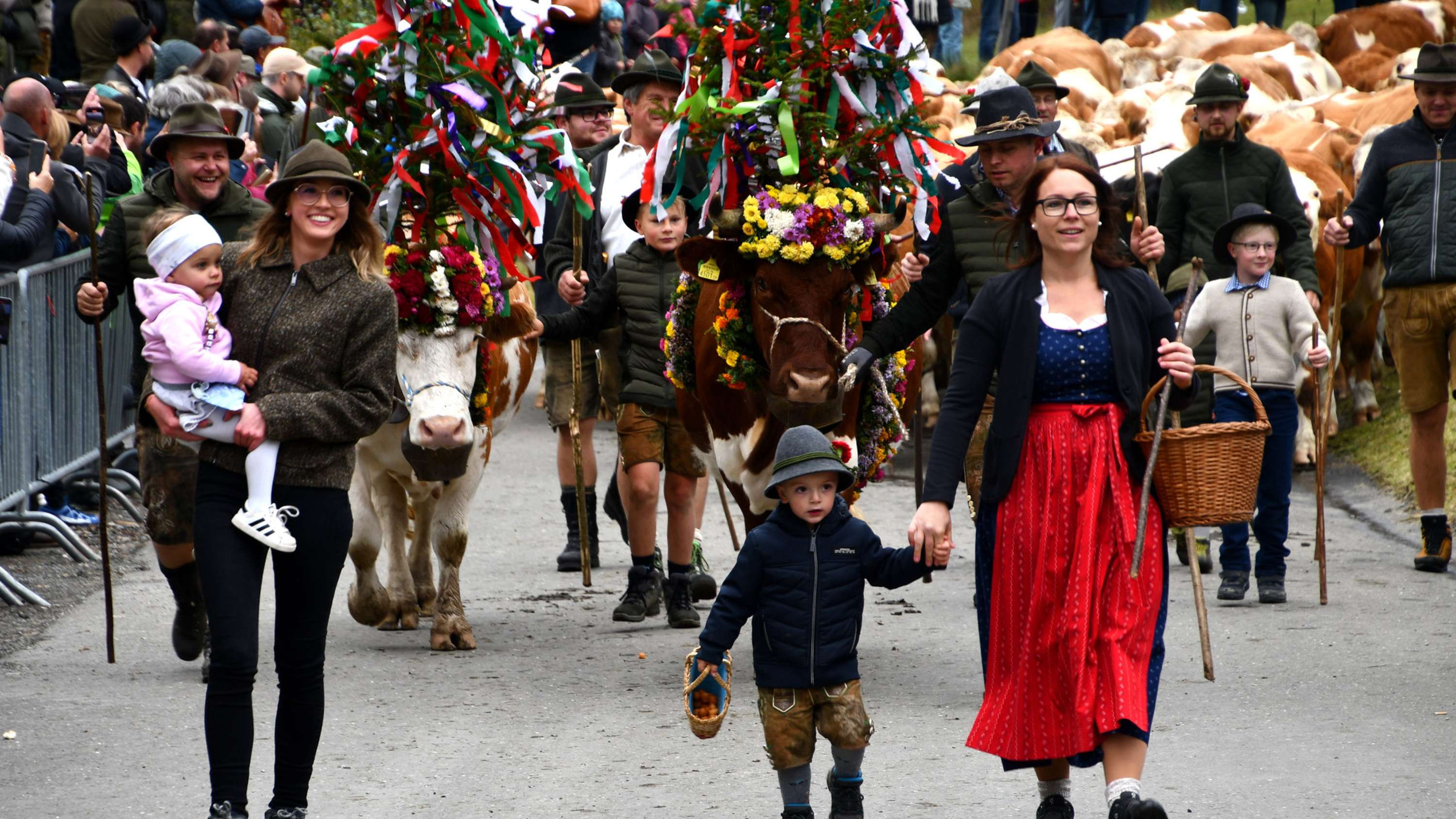 Menschen und Tiere auf dem Rückweg von der Alm
