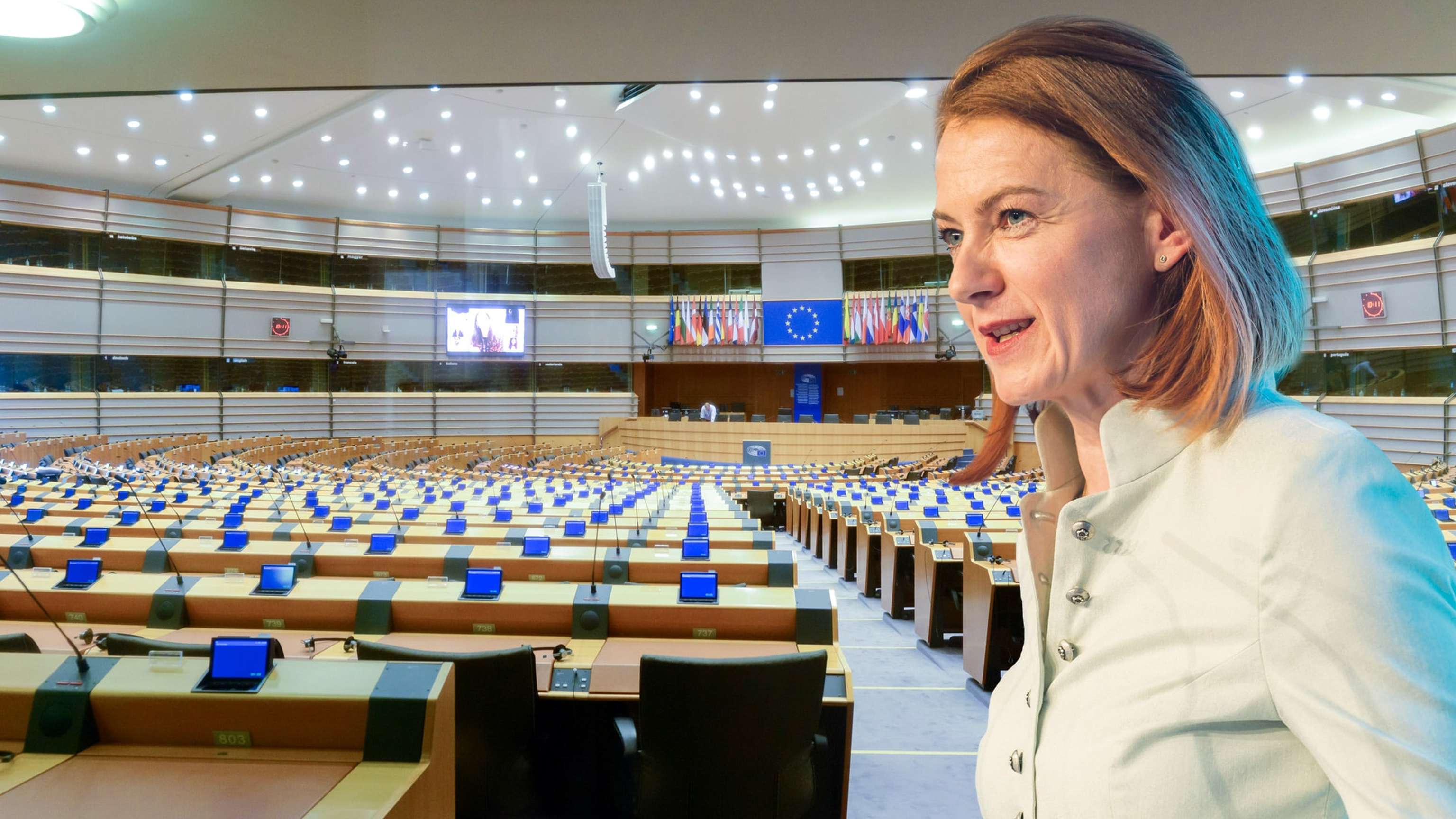 Facebook Eu Parlament