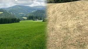 Vergleich Ist/Soll-Zustand im Grünland Sommer 2026
