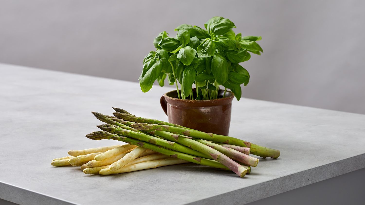 Spargel