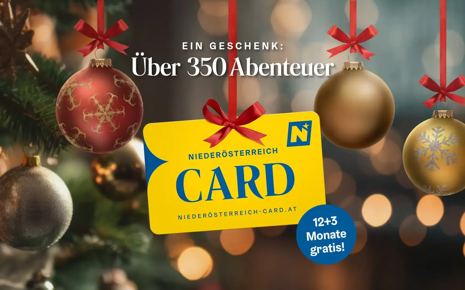 Freien Eintritt zu rund 350 Ausflugszielen schenken.