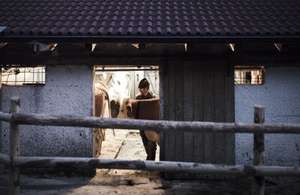 Bvb Koschitzki Image005