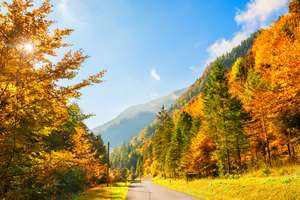 AdobeStock 220674985web
