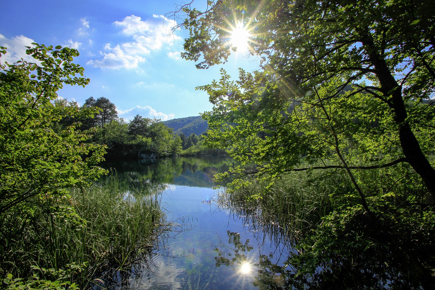 Auenlandschaft