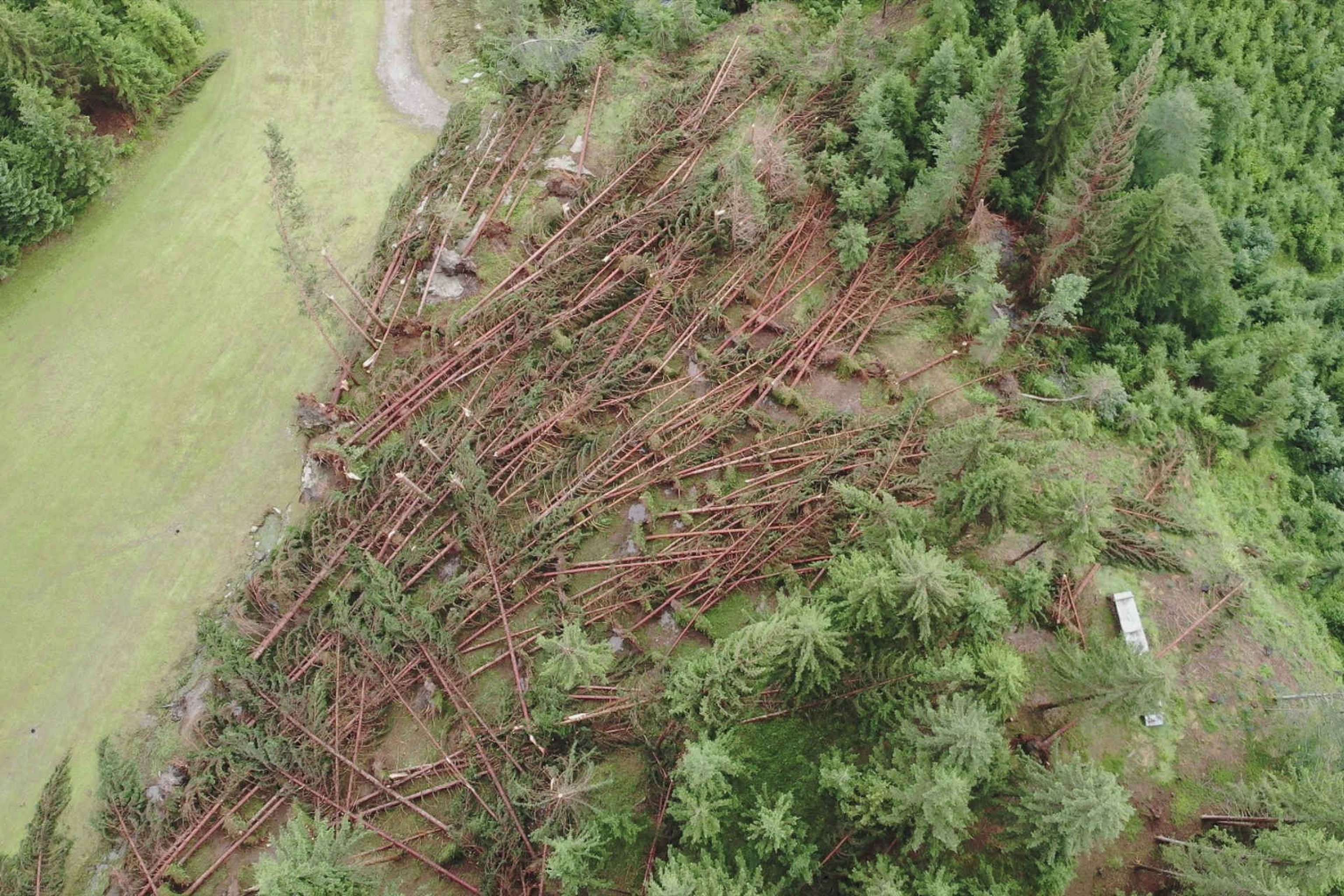 Sturmschäden Oberau