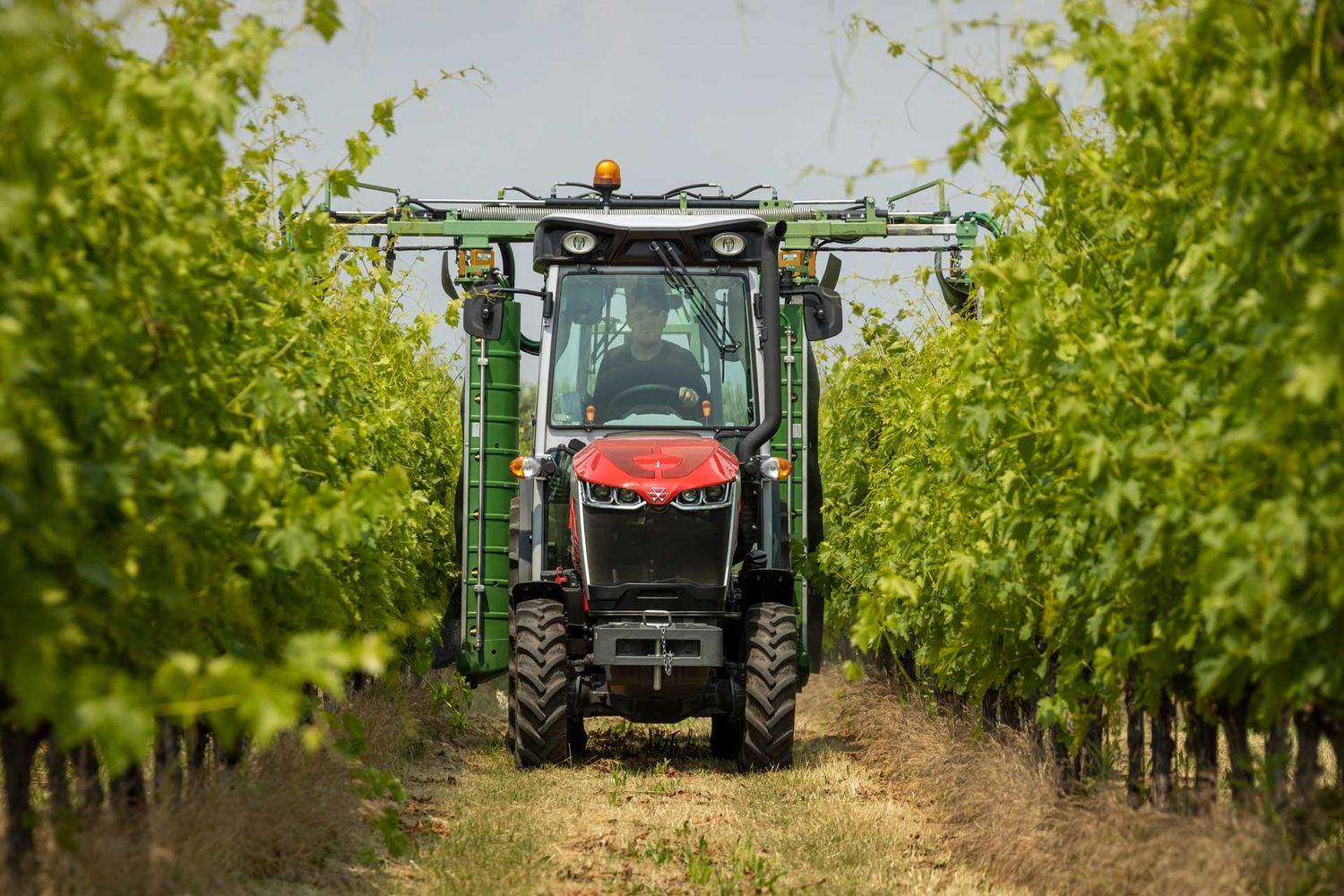 EME-MF3VI_105_SPRAYER_VINEYARD_WORKING_0522-2229.jpg