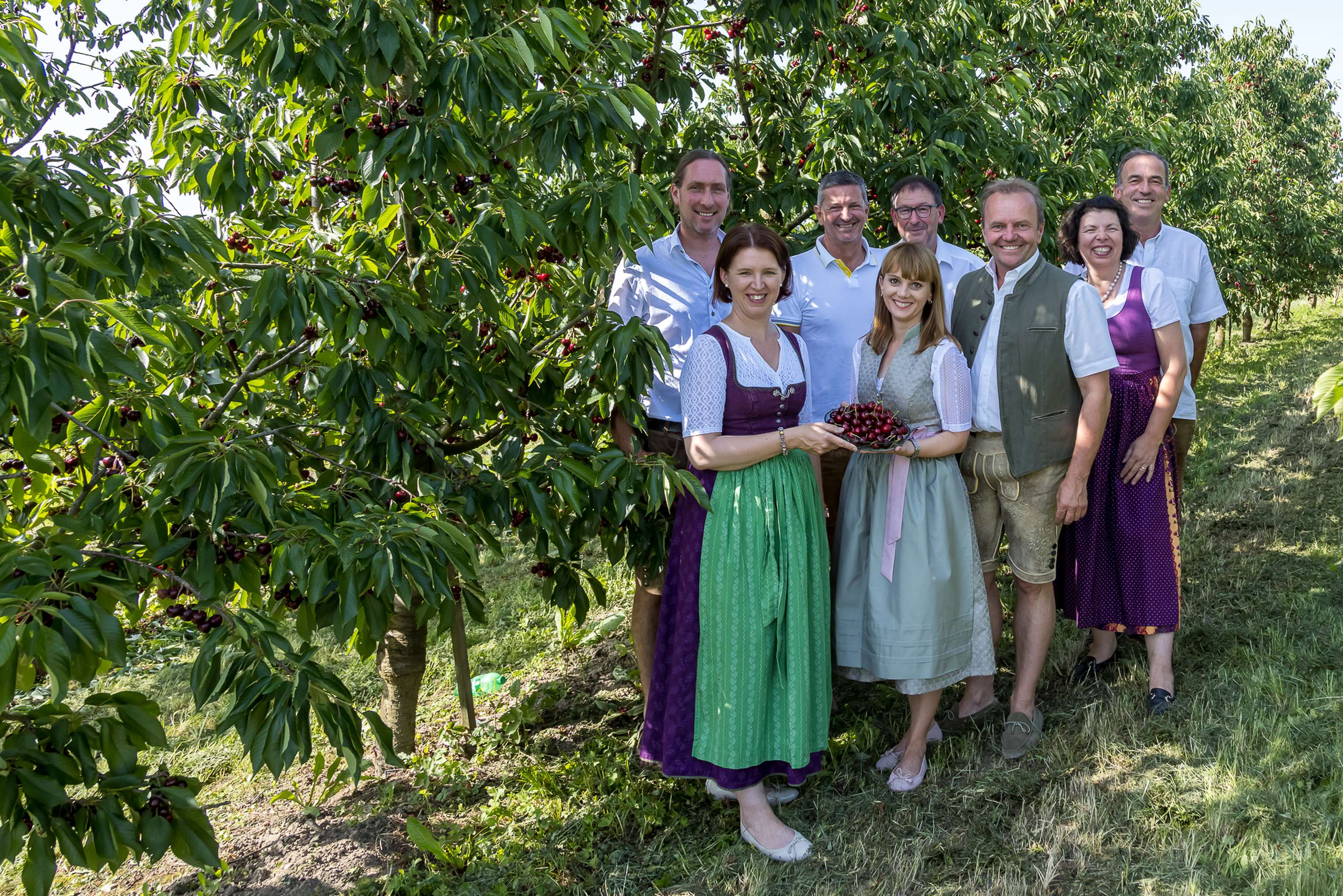 Langer-Weninger in der Scharten