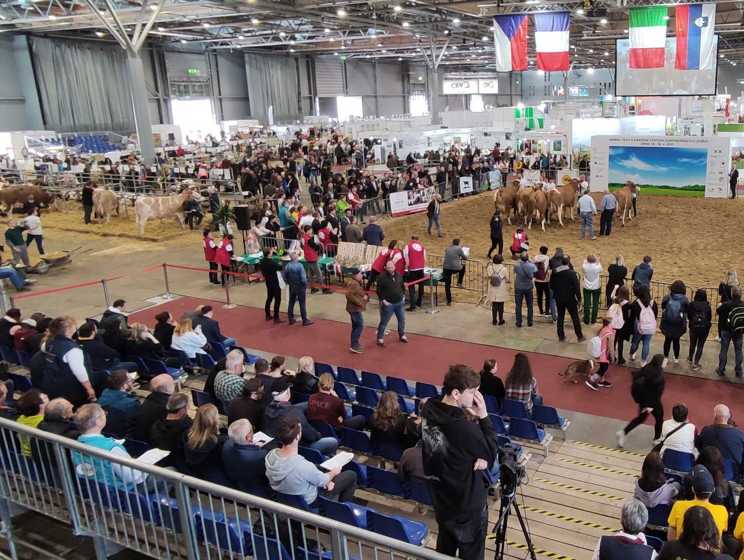 Messe