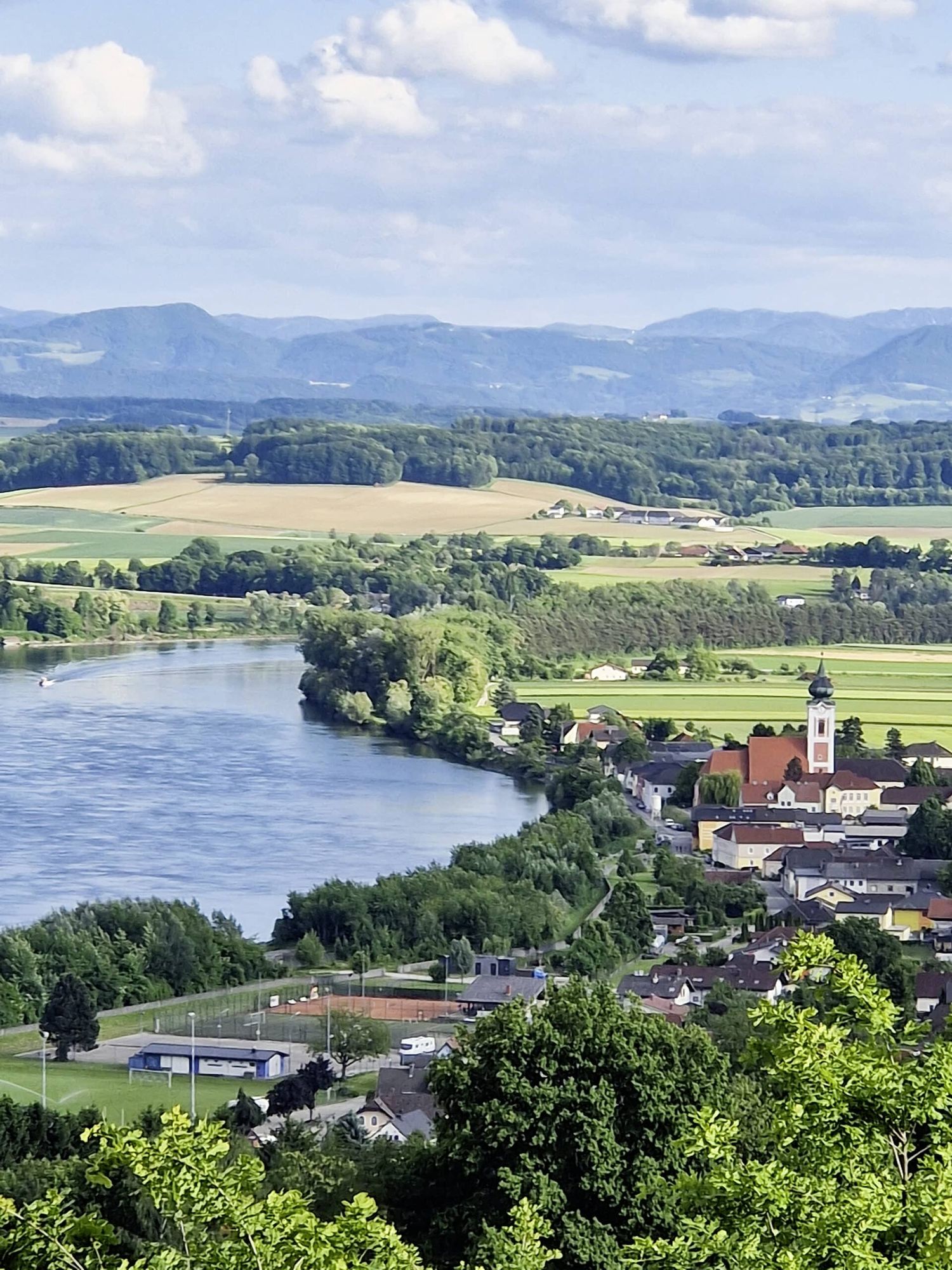 Die bekannte Bauernroas ist bei Jung und Alt sehr beliebt.