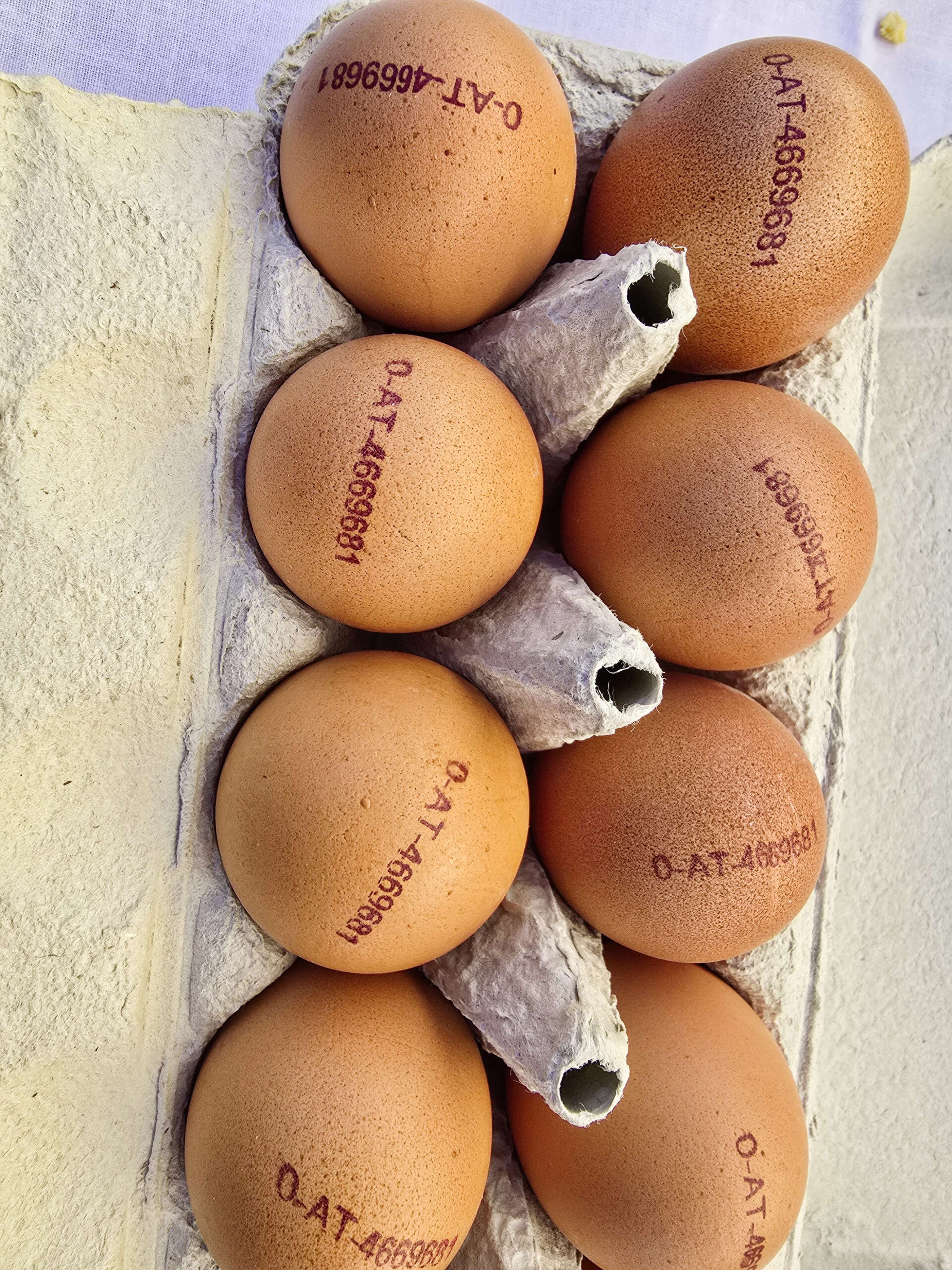Eier